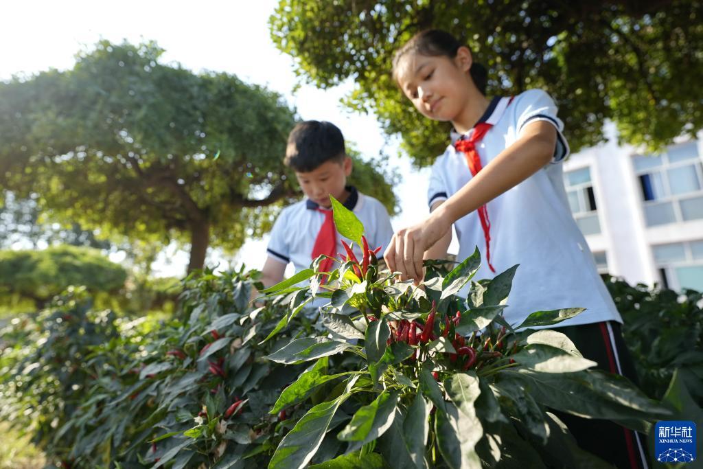 捕鱼游戏合集